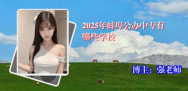 2025年蚌埠公办中专有哪些学校