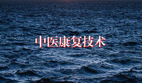 中医康复技术