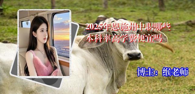 2025年恩施州中职哪些本科率高学费便宜吗
