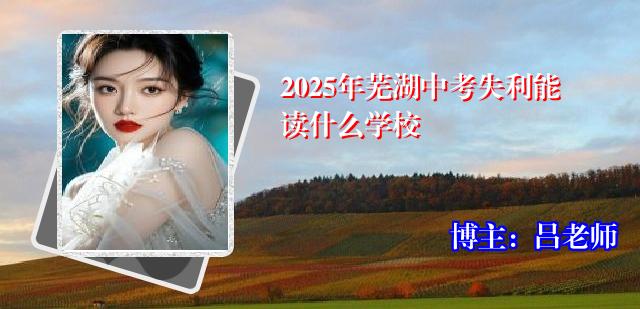 2025年芜湖中考失利能读什么学校