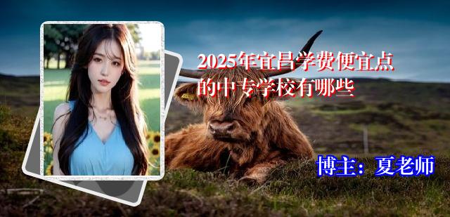 2025年宜昌学费便宜点的中专学校有哪些