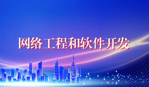网络工程和软件开发