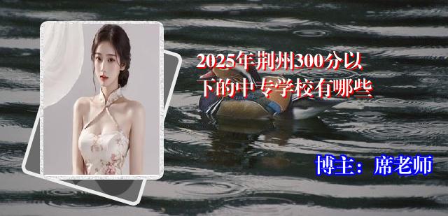 2025年荆州300分以下的中专学校有哪些