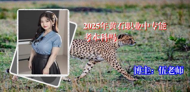 2025年黄石职业中专能考本科吗
