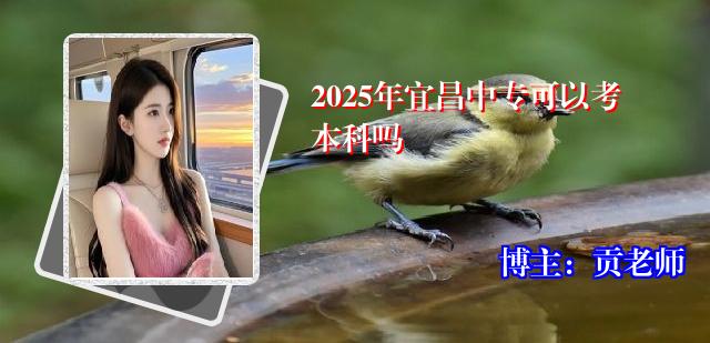 2025年宜昌中专可以考本科吗