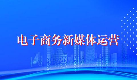 电子商务新媒体运营