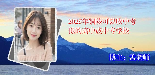 2025年铜陵可以收中考低的高中或中专学校