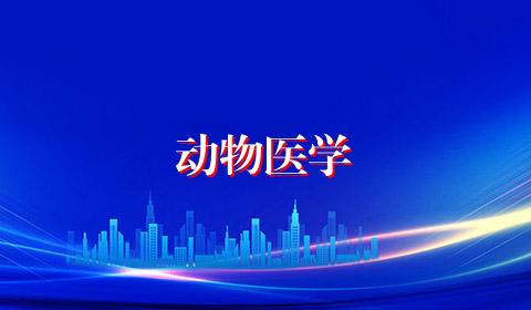 动物医学