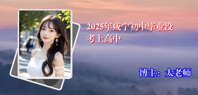2025年咸宁初中毕业没考上高中