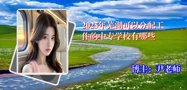 2025年芜湖可以分配工作的中专学校有哪些