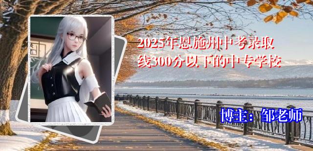 2025年恩施州中考录取线300分以下的中专学校