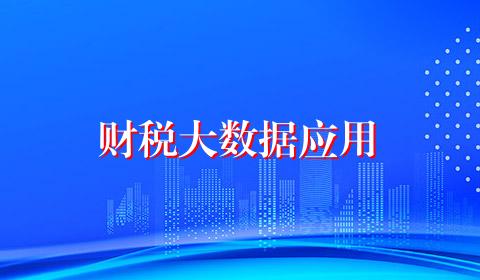 财税大数据应用