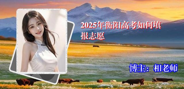 2025年衡阳高考如何填报志愿