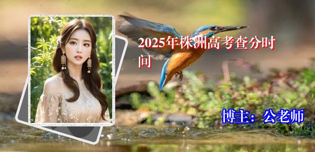 2025年株洲高考查分时间