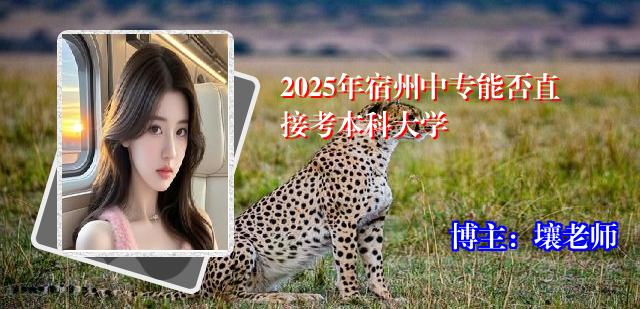 2025年宿州中专能否直接考本科大学