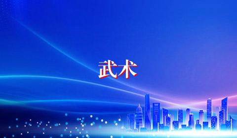 武术