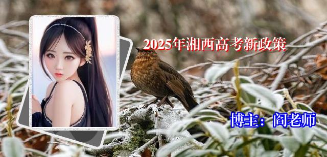 2025年湘西高考新政策