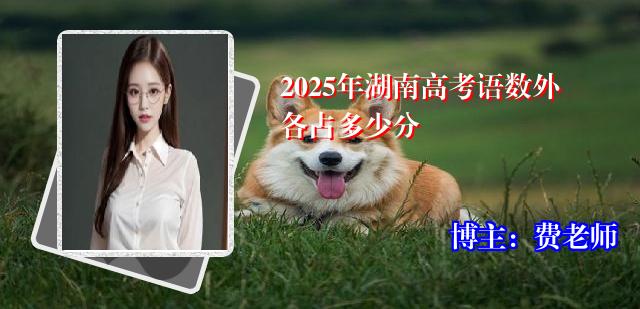 2025年湖南高考语数外各占多少分