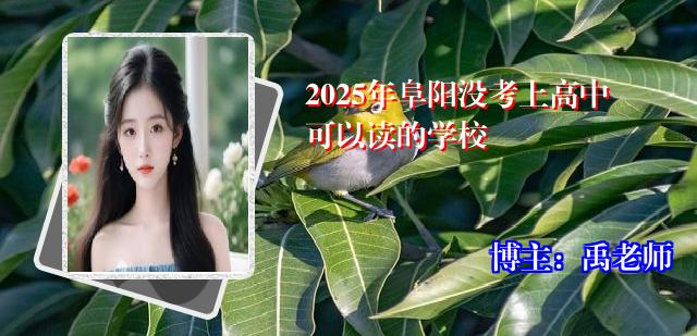 2025年阜阳没考上高中可以读的学校