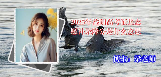 2025年益阳高考征集志愿补录降分是什么意思