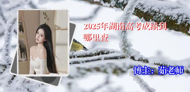 2025年湖南高考成绩到哪里查