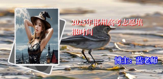 2025年郴州高考志愿填报时间