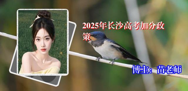 2025年长沙高考加分政策