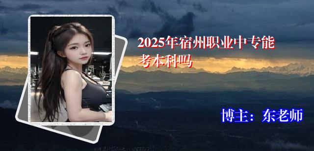 2025年宿州职业中专能考本科吗