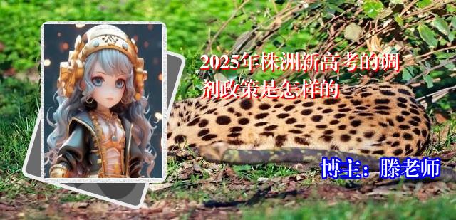 2025年株洲新高考的调剂政策是怎样的