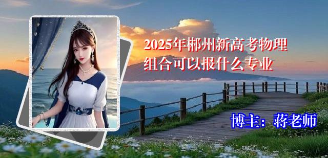 2025年郴州新高考物理组合可以报什么专业