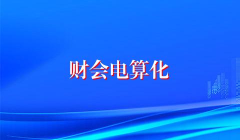 财会电算化