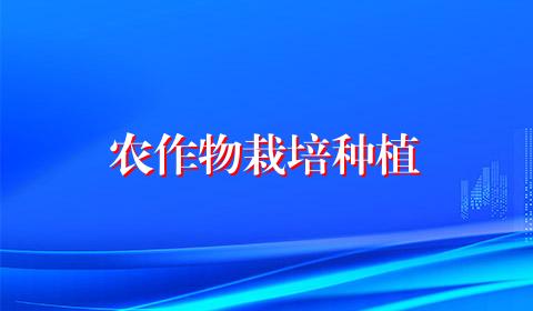 农作物栽培种植