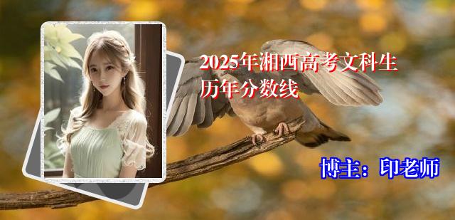 2025年湘西高考文科生历年分数线