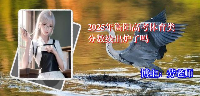 2025年衡阳高考体育类分数线出炉了吗