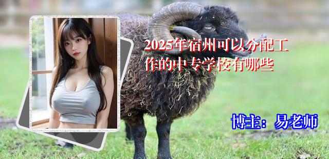 2025年宿州可以分配工作的中专学校有哪些