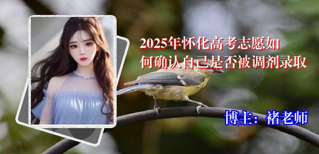 2025年怀化高考志愿如何确认自己是否被调剂录取