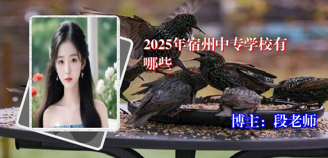 2025年宿州中专学校有哪些