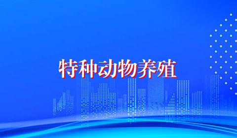 特种动物养殖