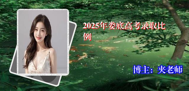 2025年娄底高考录取比例