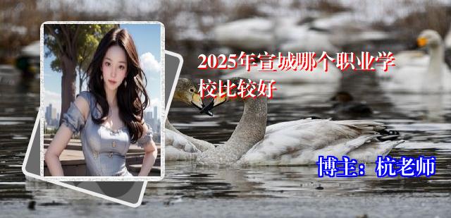 2025年宣城哪个职业学校比较好
