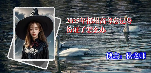 2025年郴州高考忘记身份证了怎么办