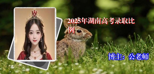 2025年湖南高考录取比例