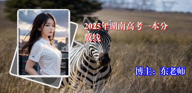 2025年湖南高考一本分数线