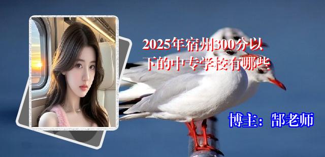 2025年宿州300分以下的中专学校有哪些