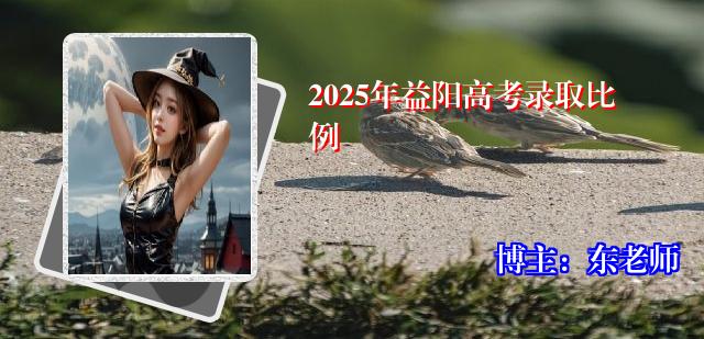 2025年益阳高考录取比例