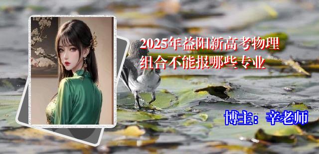 2025年益阳新高考物理组合不能报哪些专业