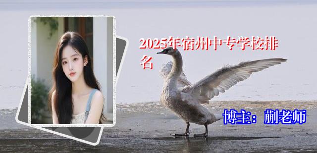 2025年宿州中专学校排名