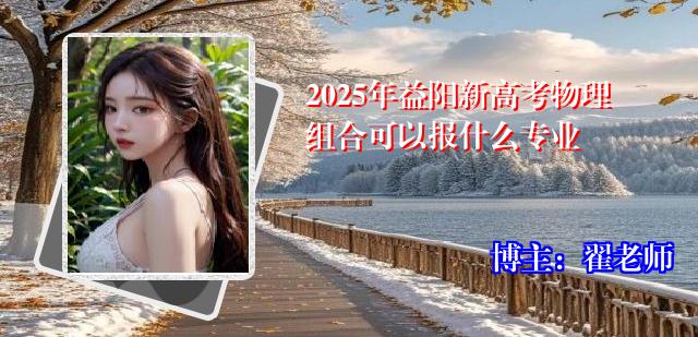 2025年益阳新高考物理组合可以报什么专业