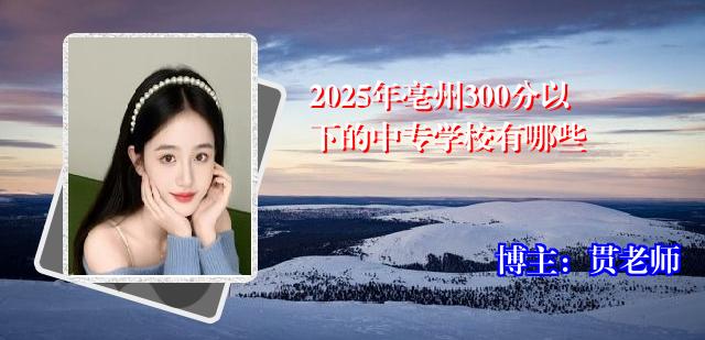2025年亳州300分以下的中专学校有哪些