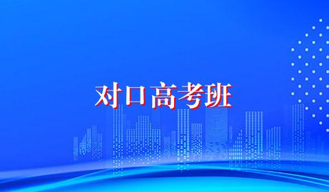对口高考班